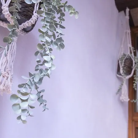 Casa Graziella Piccolo Pied à Terre Nel Castello Di D'assisi *